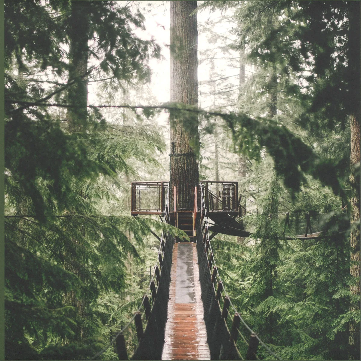 Molly — On The Road Again