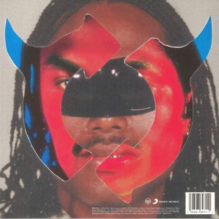 Обратная сторона обложки — Steve LACY — Gemini Rights