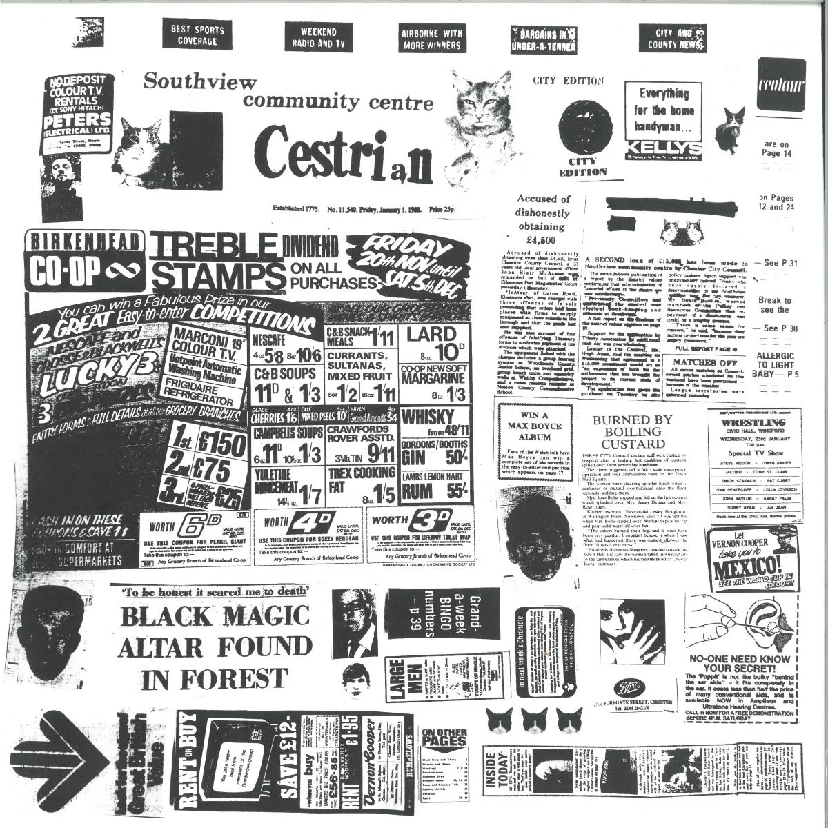 CESTRIAN — SOUTHVIEW COMMUNITY CENTER EP
