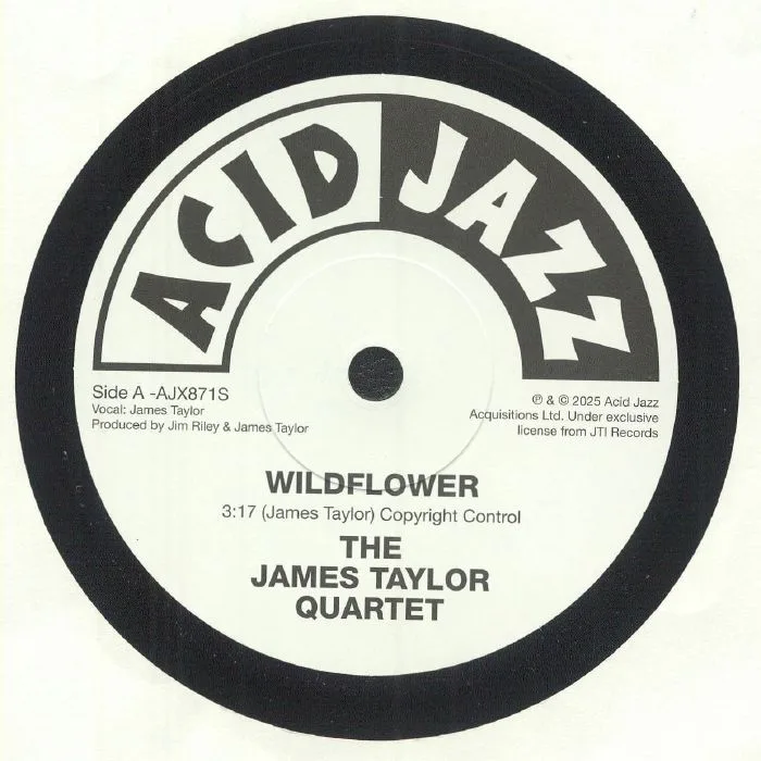 The JAMES TAYLOR QUARTET — Wildflower