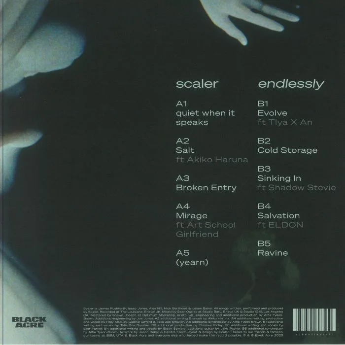 Обратная сторона обложки — SCALER — Endlessly