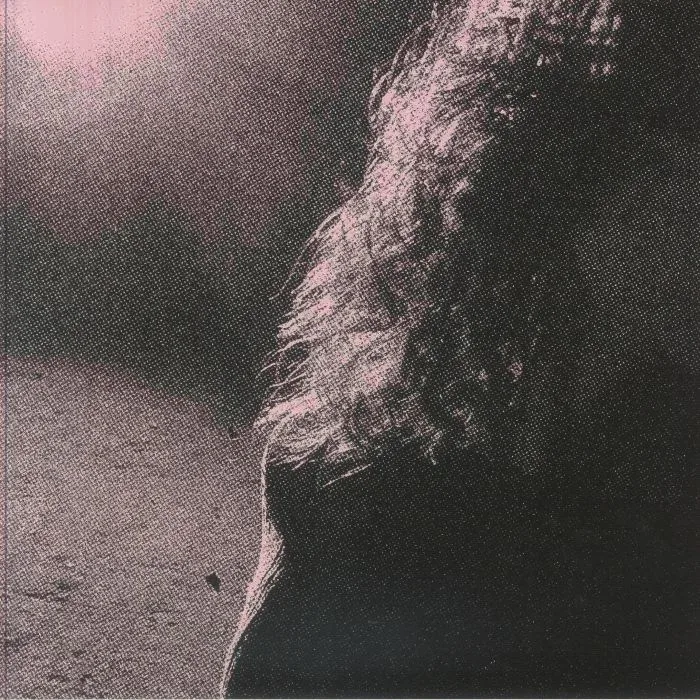 VENTURING aka JANE REMOVER — Ghostholding