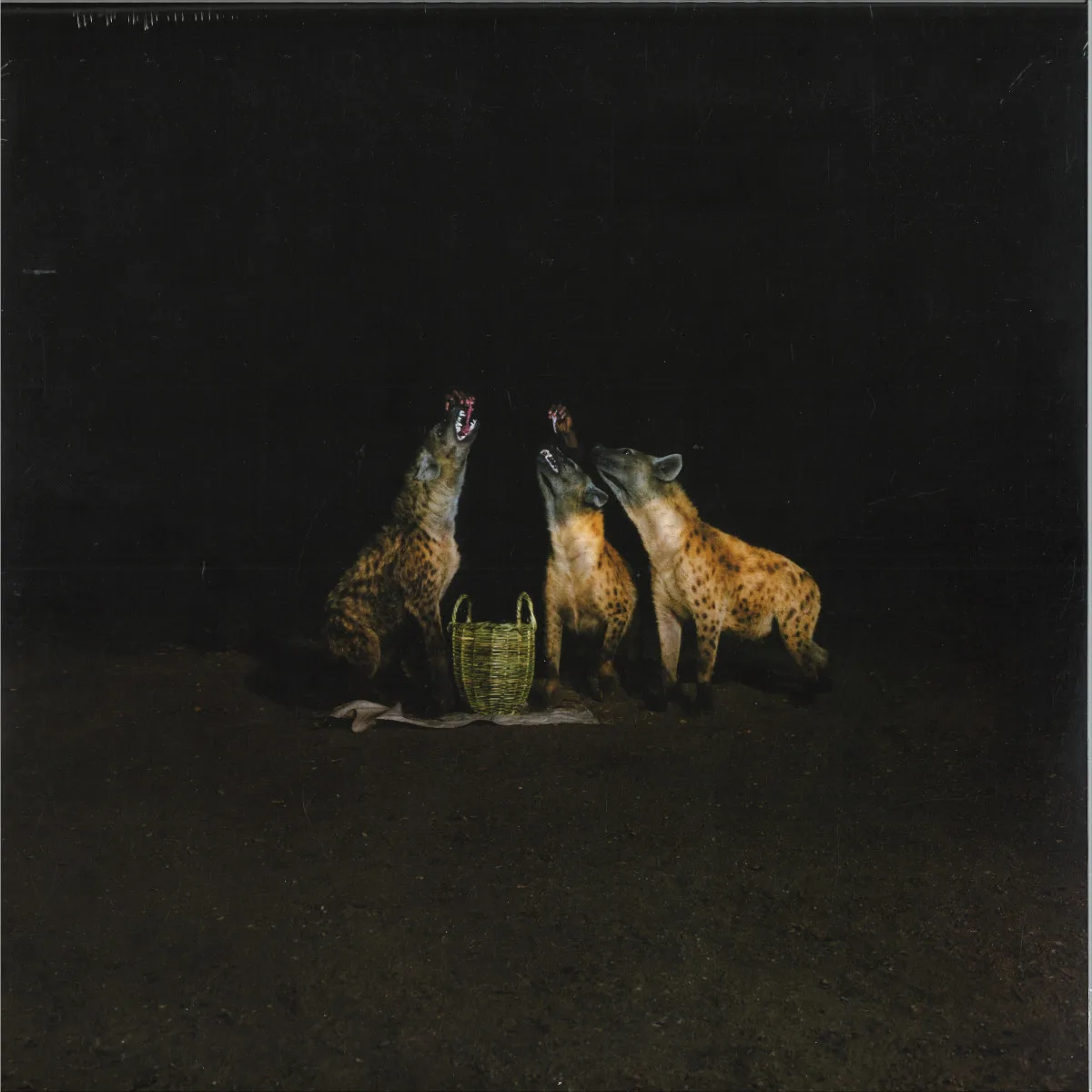 Years of Denial — Suicide Disco LP 2x12"