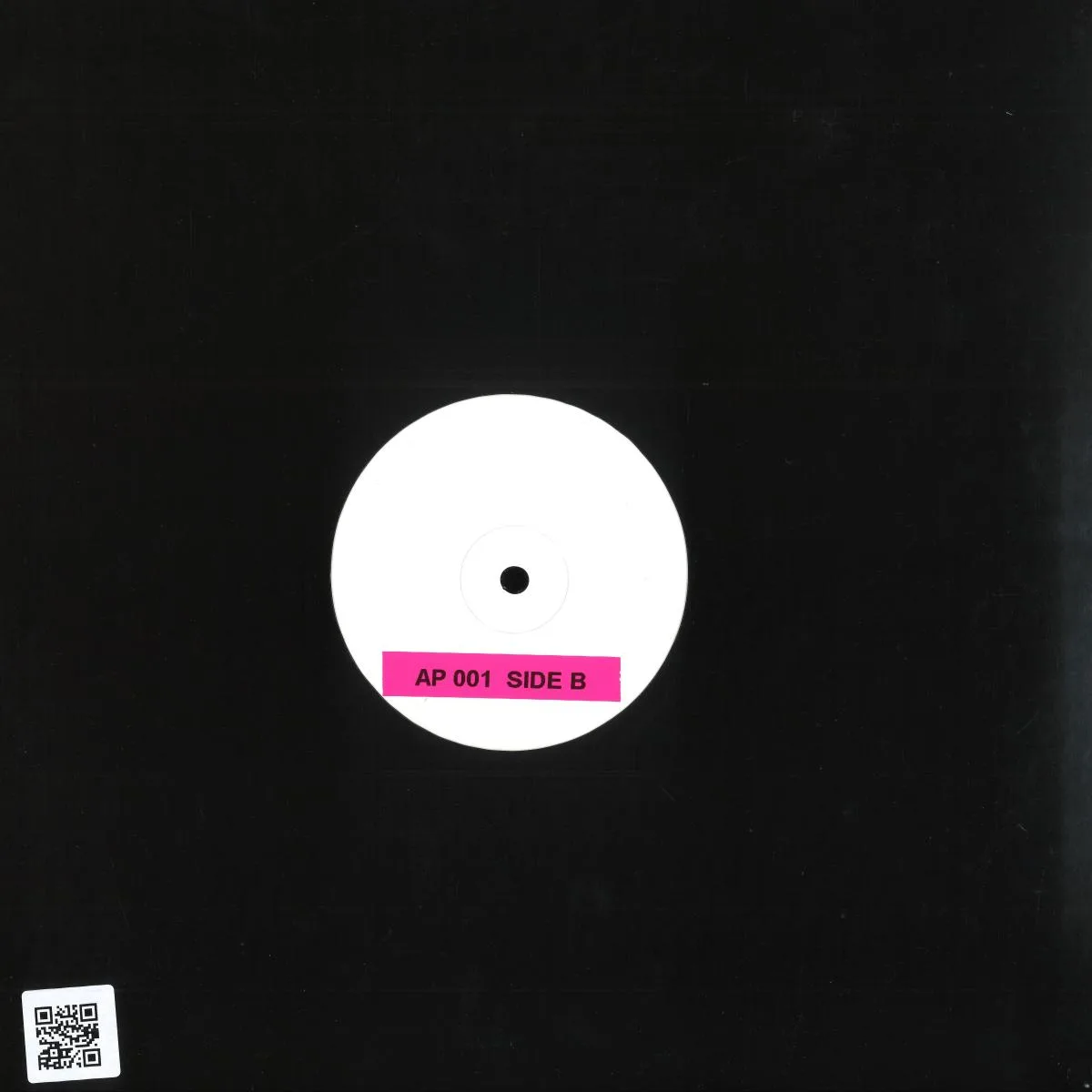 Back cover — The Aries Project — AP EP 001