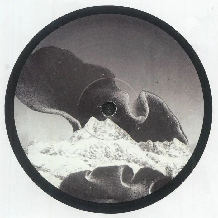 Front cover — Eva LOVELESS / SLIMY APE / FURTIVE / BUCKLEY — Stepfamily