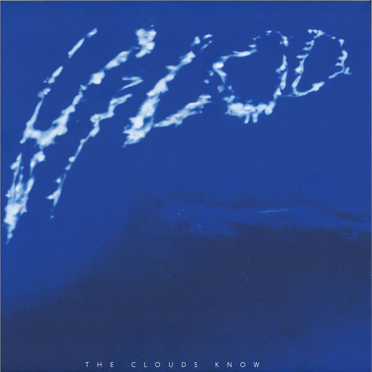 Vilod(VillalobosandLoderbauer) — The Clouds Know 2x12"