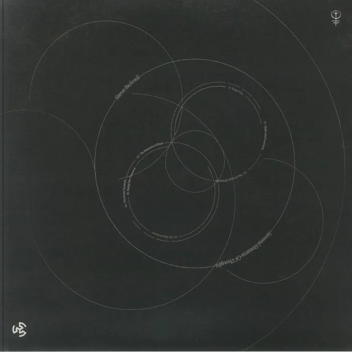 Обратная сторона обложки — Steve BICKNELL — Several Streams Of Thought (B-STOCK)