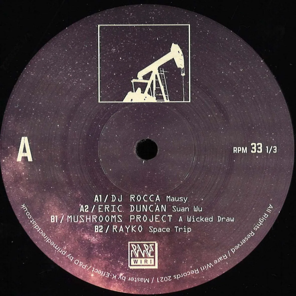 Dj Rocca/Eric Duncan/Mushrooms Project/Rayko — Rare Wiri 100th