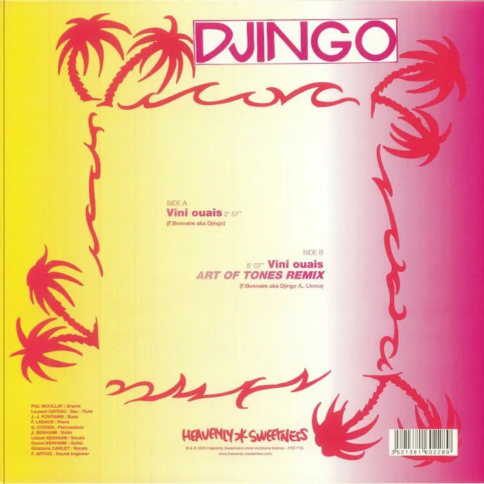 Back cover — DJINGO TYPICAL BAND — Vini Ouais (remix)