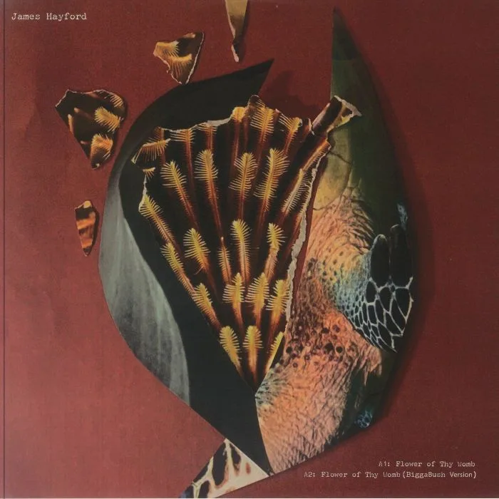 Лицевая сторона обложки — James HAYFORD / BIGGABUSH — Split EP