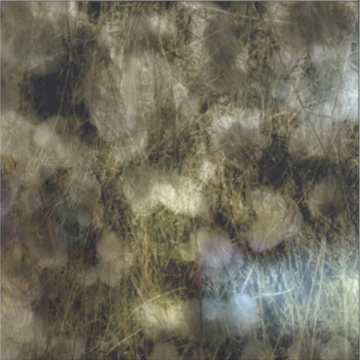 O Yuki Conjugate — Sleepwalker 2x12"