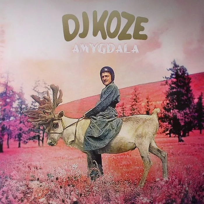 Front cover — DJ KOZE — Amygdala