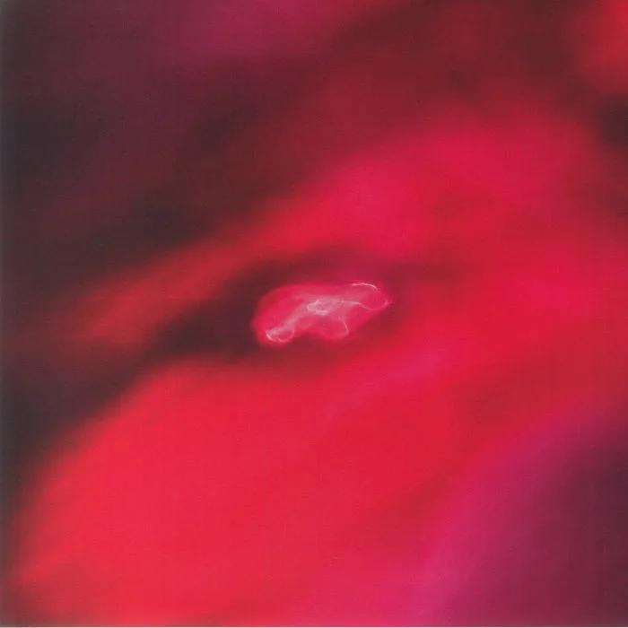 Siavash AMINI / SAFFRONKEIRA — Faded Orbit