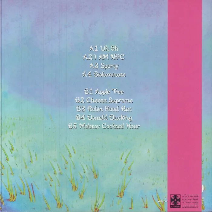 Back cover — BRAINCHIP — Brainchip