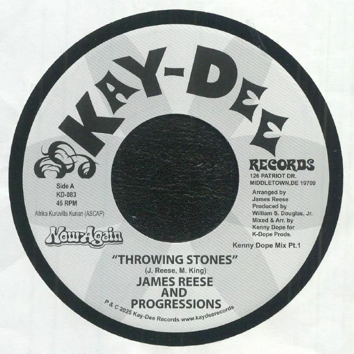 Лицевая сторона обложки — James REESE & THE PROGRESSIONS — Throwing Stones (remixes)