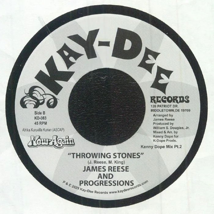 Back cover — James REESE & THE PROGRESSIONS — Throwing Stones (remixes)