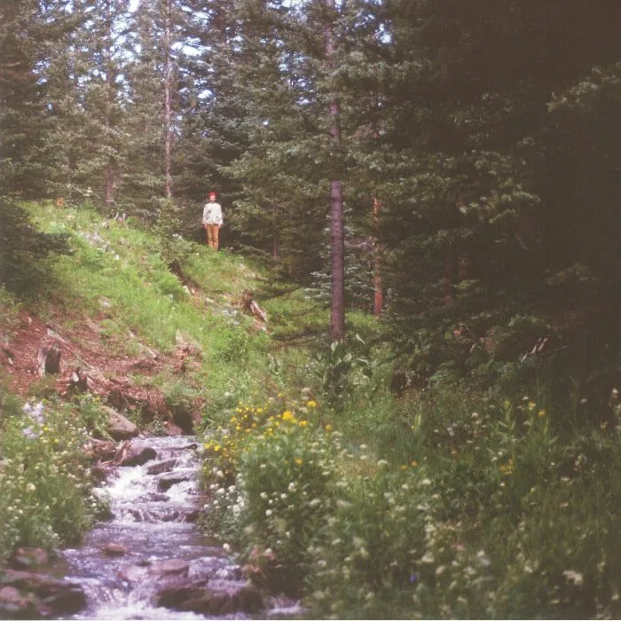 David LORD — Forest Standards Vol 3