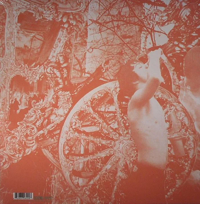 Back cover — DEERHUNTER — Microcastle / Weird Era Continued