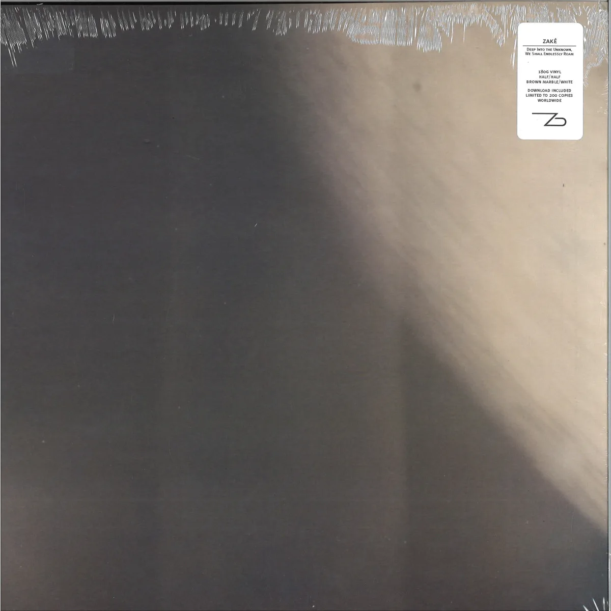 Zake — Deep Into The Unknown We Shall Endlessly Roam LP
