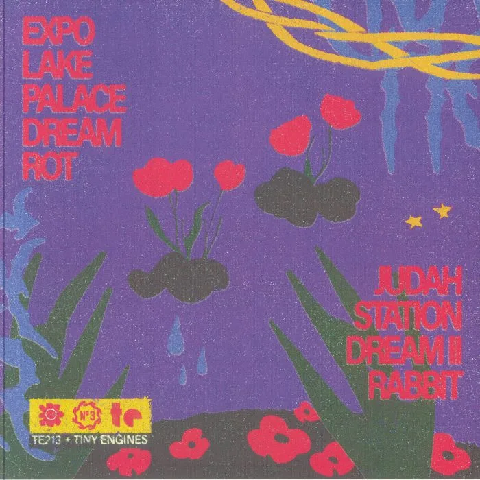 Back cover — CLUB NIGHT — Joy Coming Down