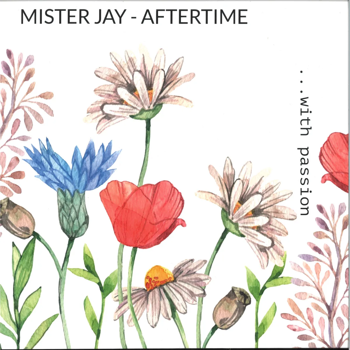 Back cover — Mister Jay — Aftertime