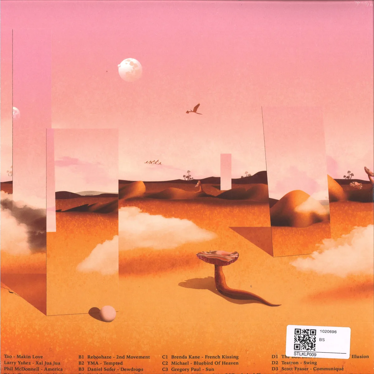 Back cover — Skyrager — Traces of Illusion LP 2x12"