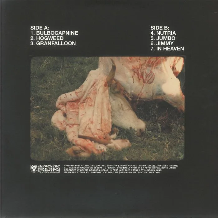 Back cover — GAWTHROP — Kuboa