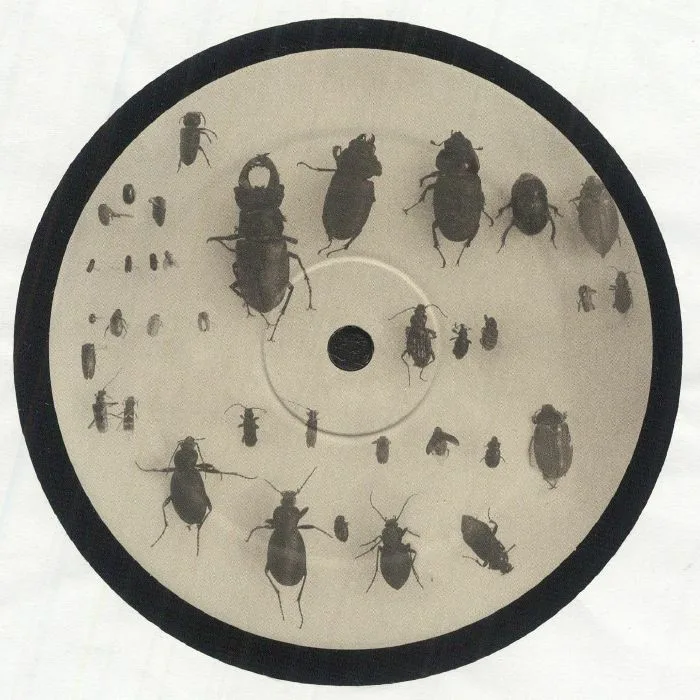 Front cover — Lewis FAUTZI — You Can't Step On The Same Risk Twice EP