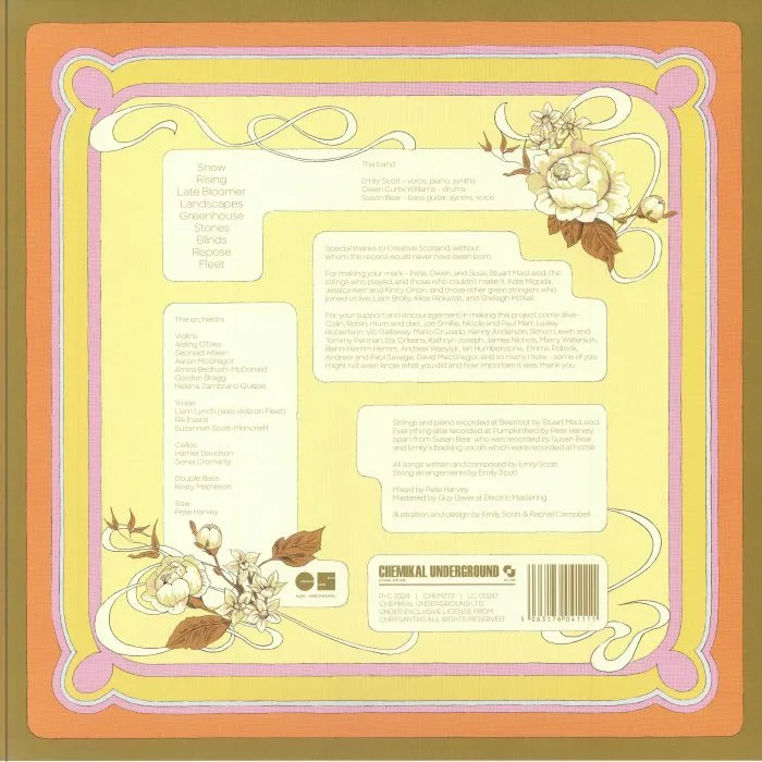 Back cover — CHRYSANTHS — Leave No Shadow