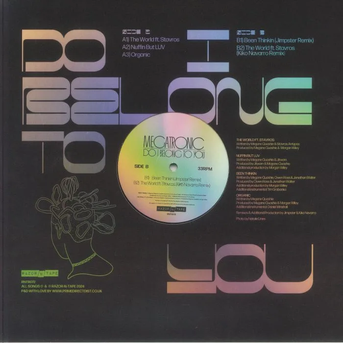 Back cover — MEGATRONIC — Do I Belong To You
