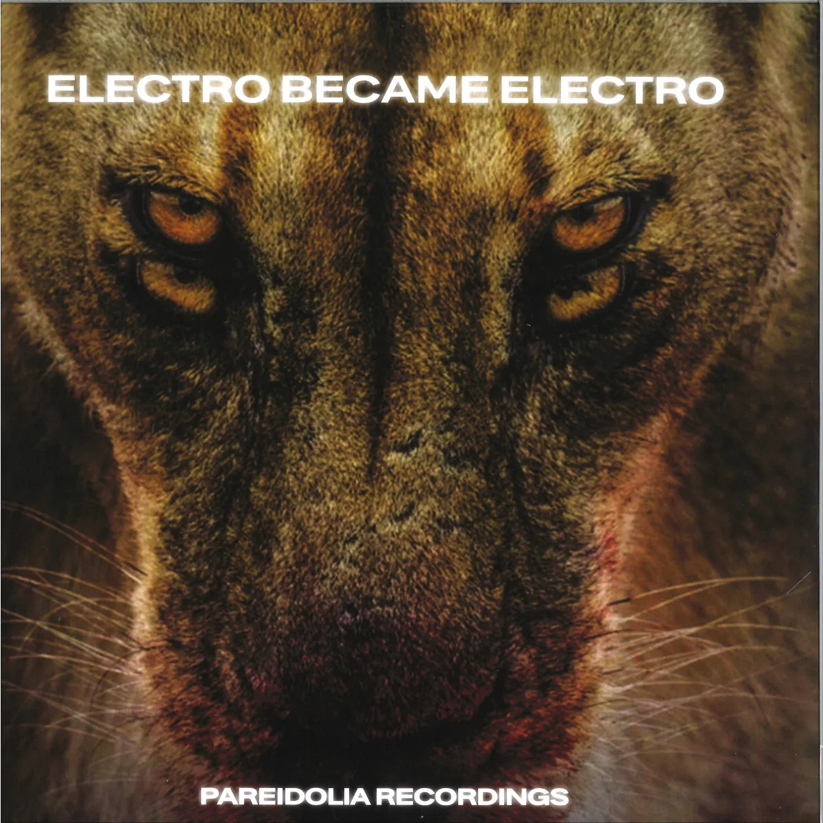 Лицевая сторона обложки — Various — Electro Became Electro 2x12"