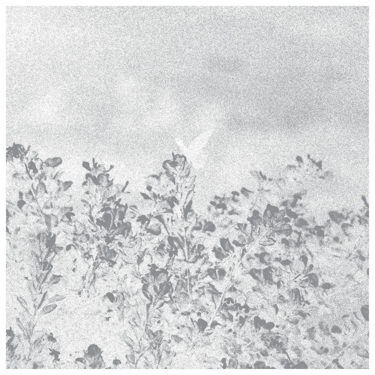 Marwan — Troebel Water