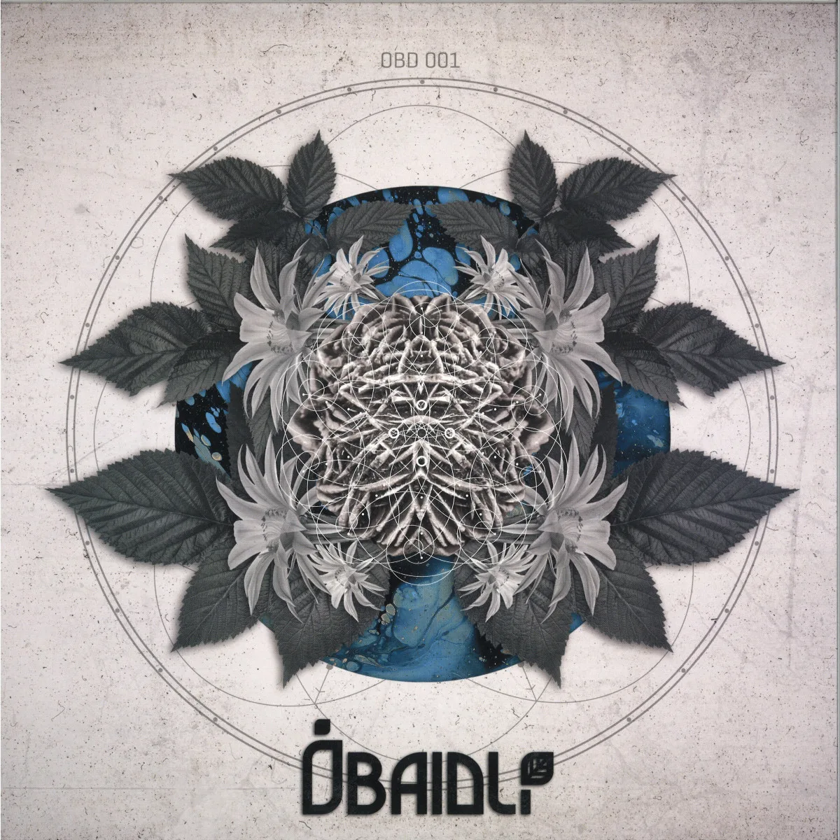 Zohki/Bídlee — Down the Road