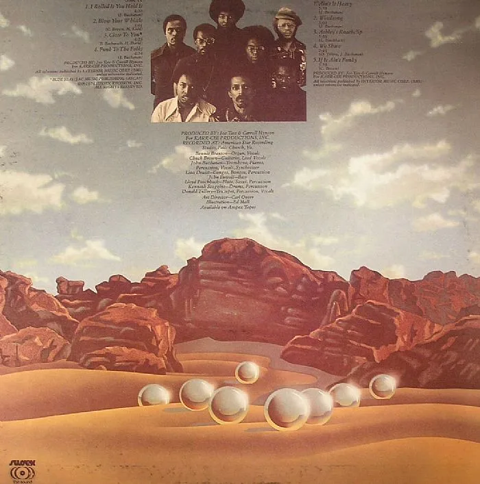 Back cover — The SOUL SEARCHERS — Salt Of The Earth
