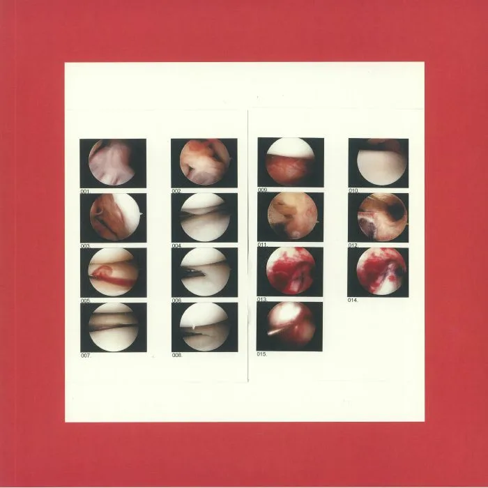 The CRADLE — Laughing In My Sleep