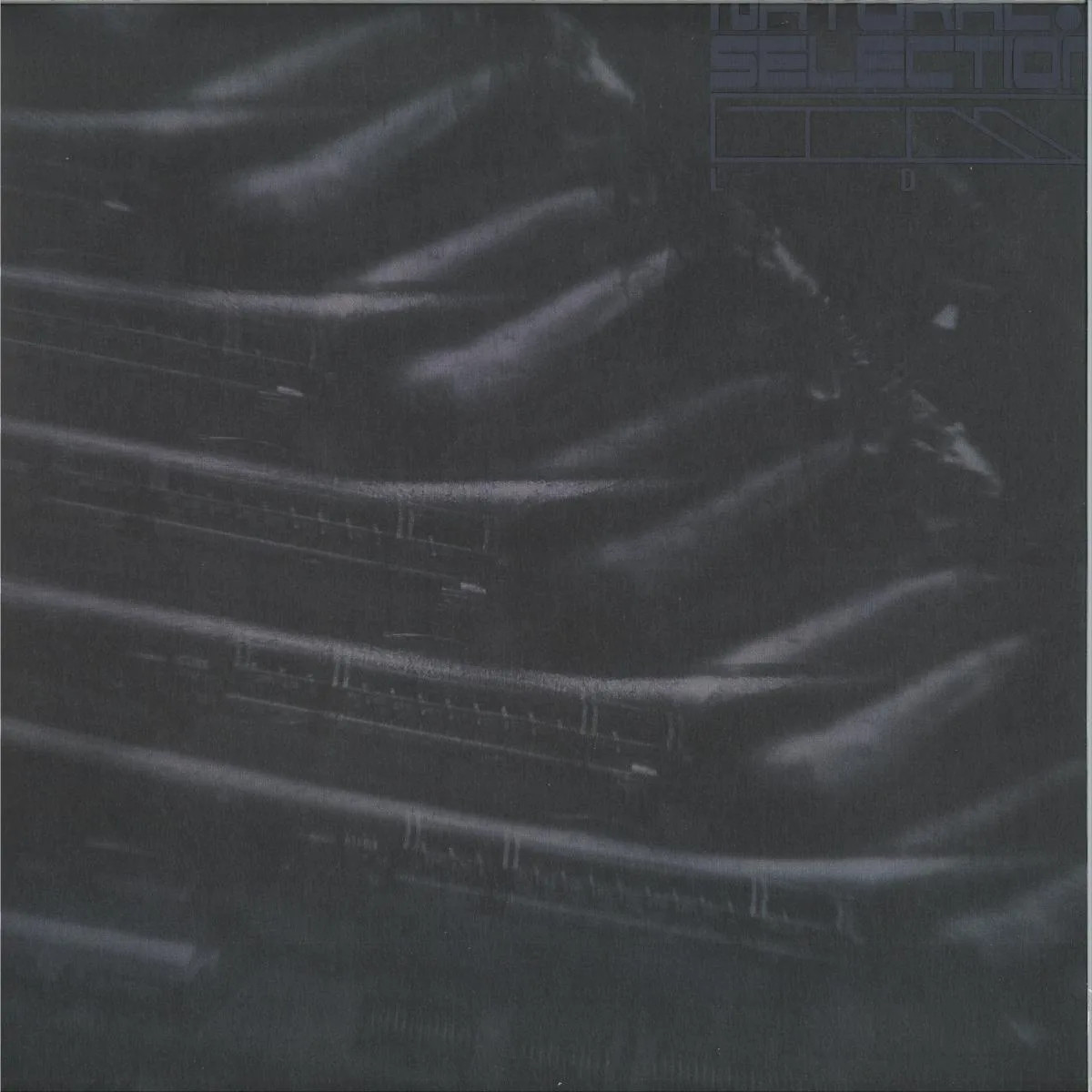 Swarm Intelligence — Radiance EP