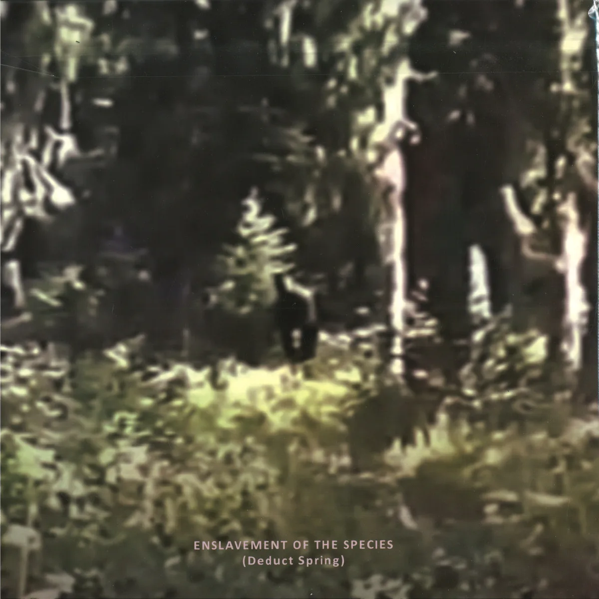 Обратная сторона обложки — Various — The Gesu-ƨ Plateau (Enslavement of the Species)