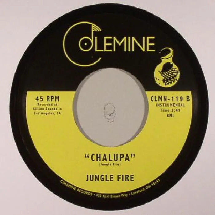Обратная сторона обложки — JUNGLE FIRE — Firewalker