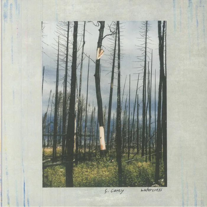 S CAREY — Watercress