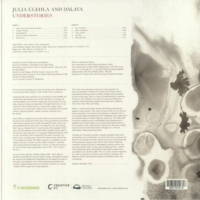 Обратная сторона обложки — Julia ULEHLA / DALAVA — Understories
