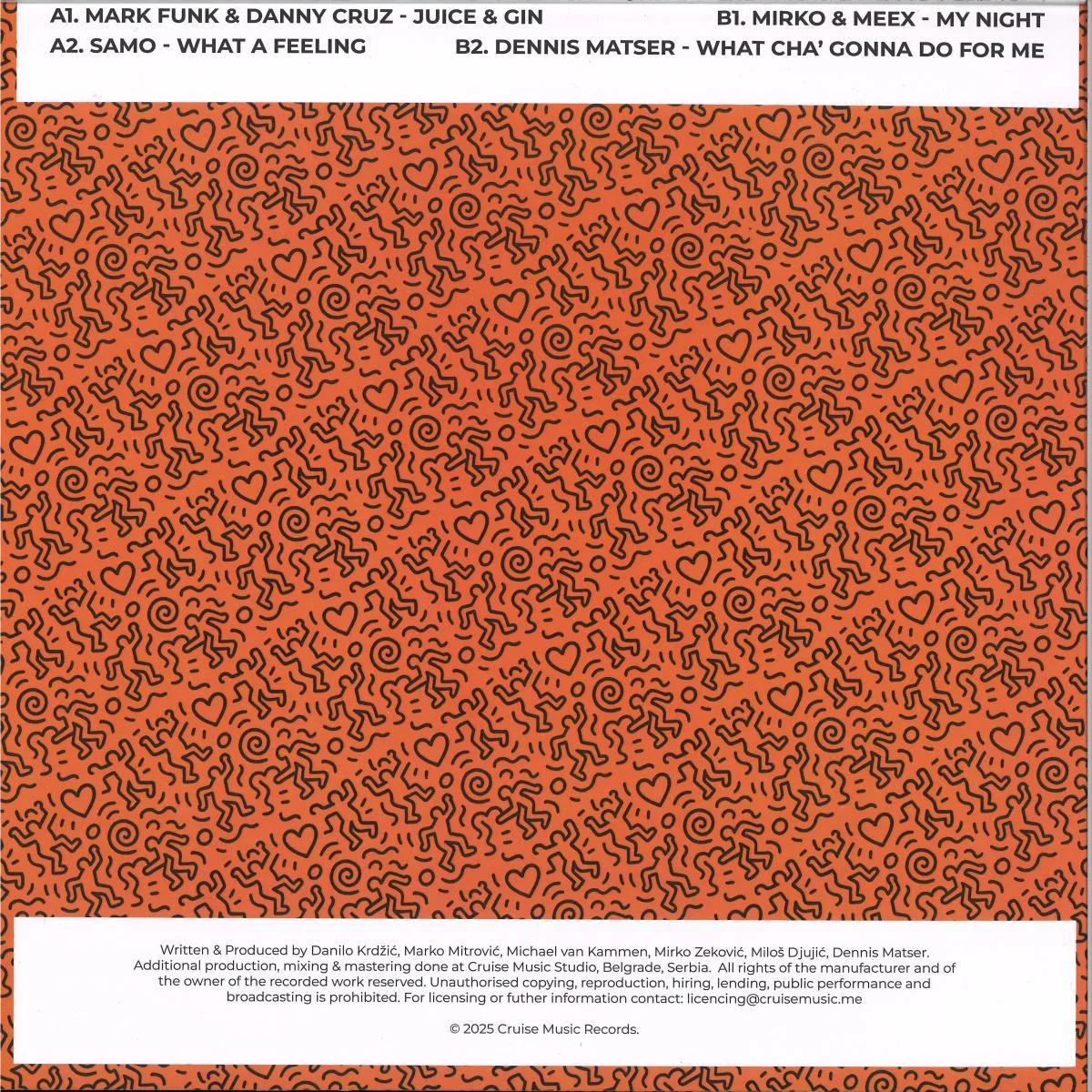 Back cover — Various — Cruise Music Vinyl Jams Vol XIII