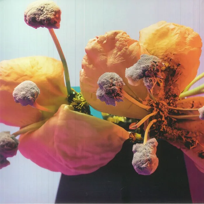 Front cover — BRAINBEATS / PASTRESDROLE / SPLT / 0 CONFIDENCE / DJ IGUANE / SMOGO — Compilation CJA 04