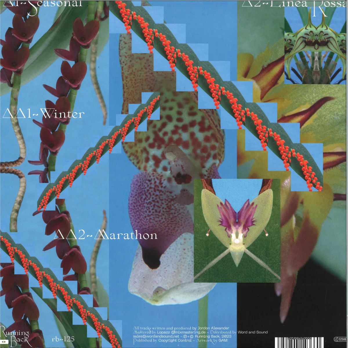 Back cover — Jordon Alexander(Mall Grab) — How The Dogs Chill Vol. 2