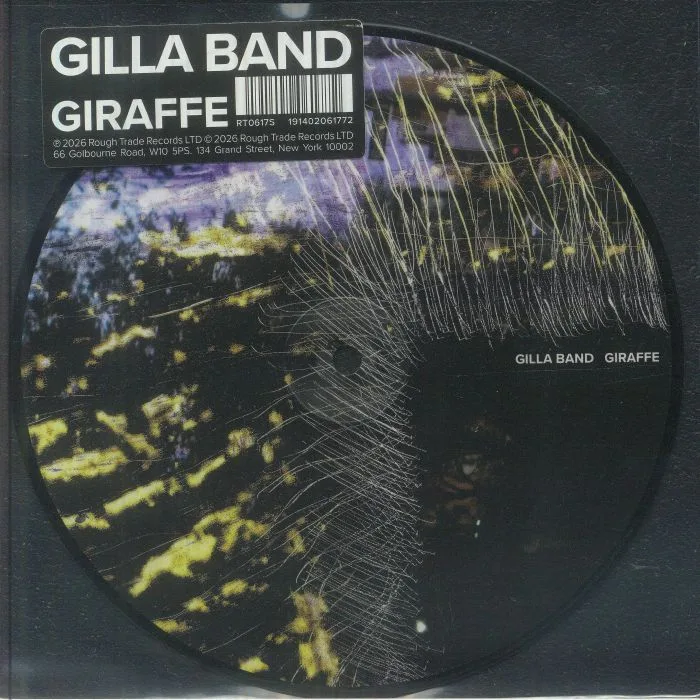 GILLA BAND — Giraffe