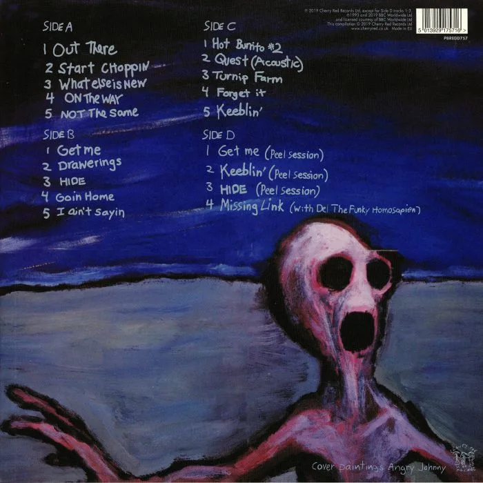 Back cover — DINOSAUR JR — Where You Been (remastered)