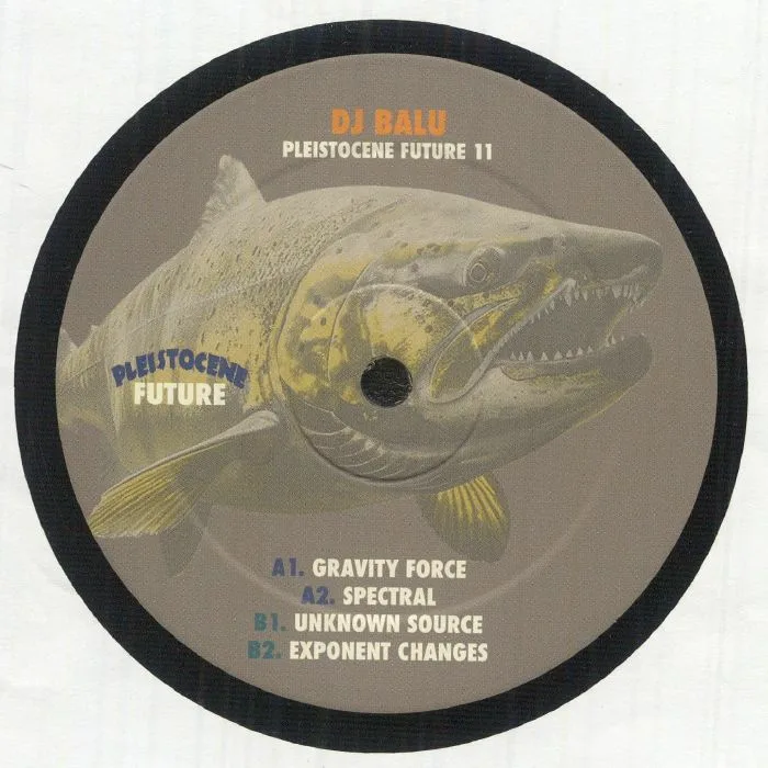 Back cover — DJ BALU — Pleistocene Future 11