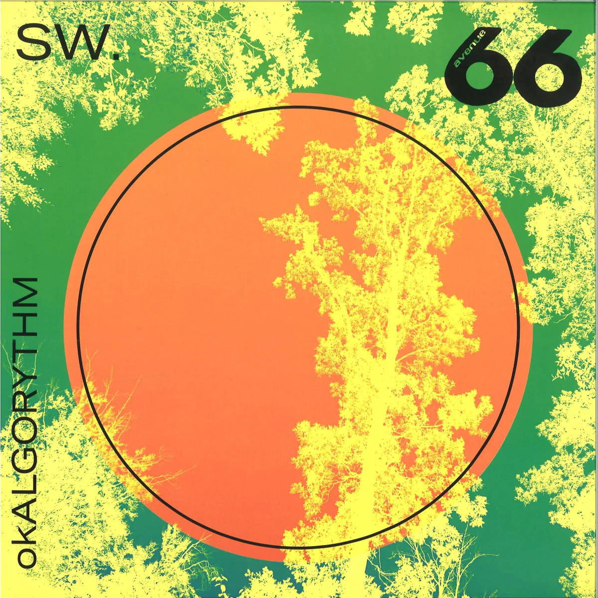 Sw. — okALGORYTHM LP 2x12"