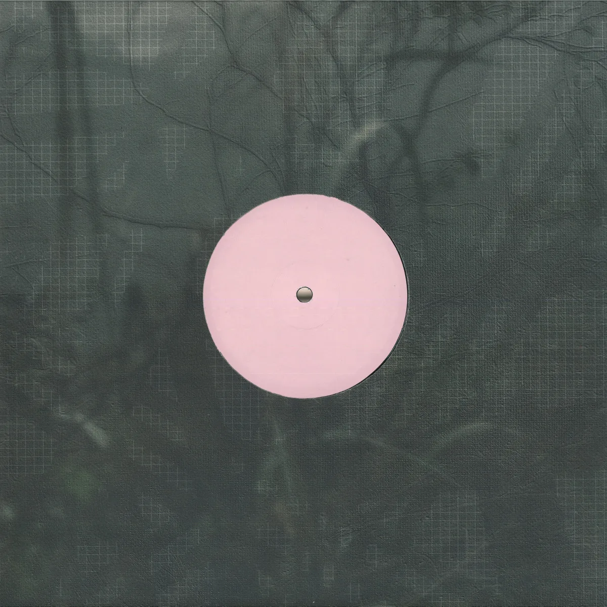 Alien D — For the Early Hours of a World in Bloom