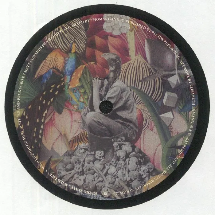 Front cover — RADIO SLAVE — Wild Life