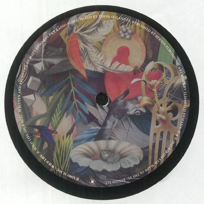 Back cover — RADIO SLAVE — Wild Life
